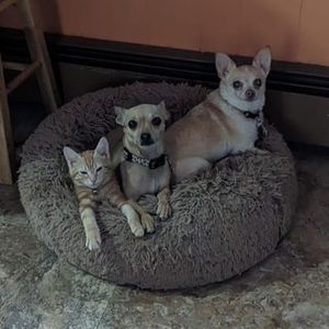 Meet your Posher, Erin